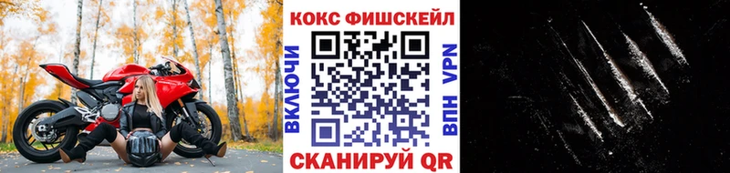 Cocaine FishScale  Будённовск 