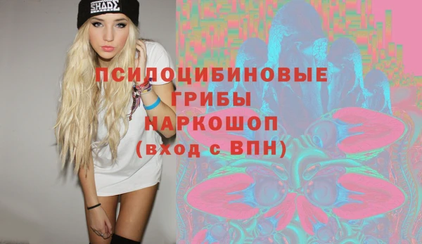 гидра Сосновка