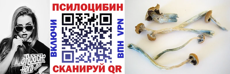 Псилоцибиновые грибы MAGIC MUSHROOMS  Будённовск 